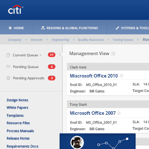 Citi UI for Corporate Software QA System Panel