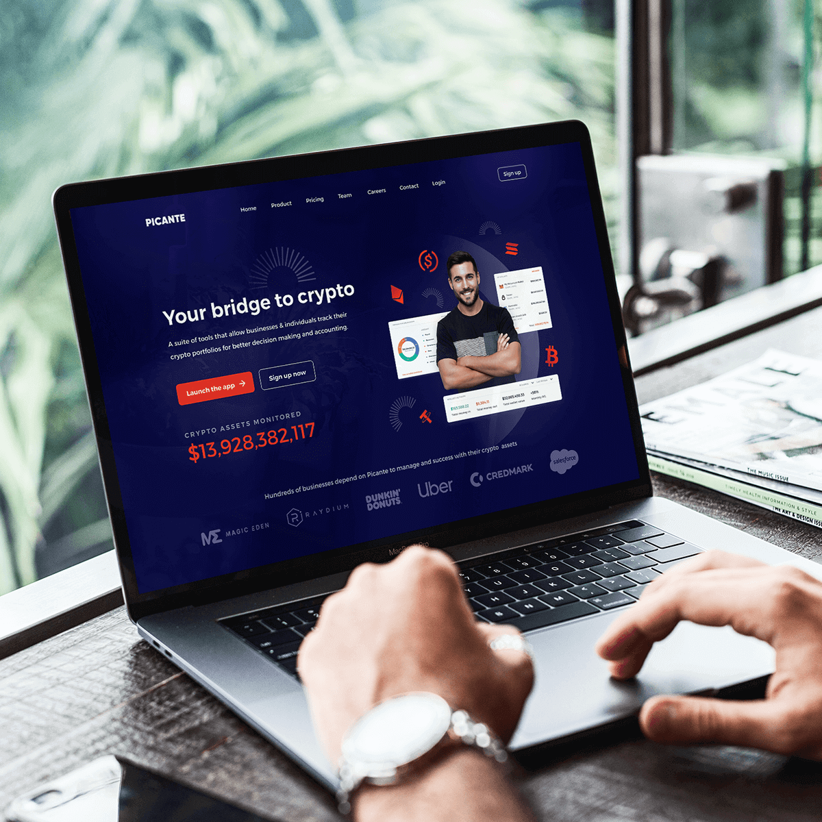 Picante Website v2